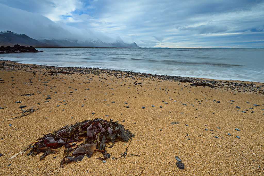 Búðir Strand Island 2015
