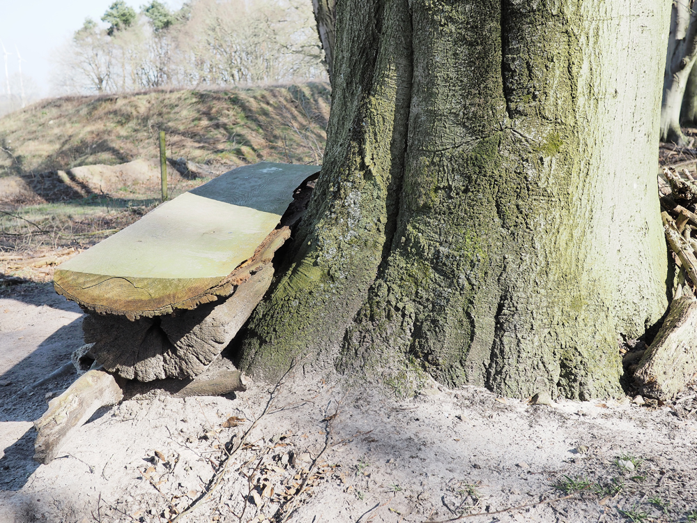 Buchenbank 1.jpg
