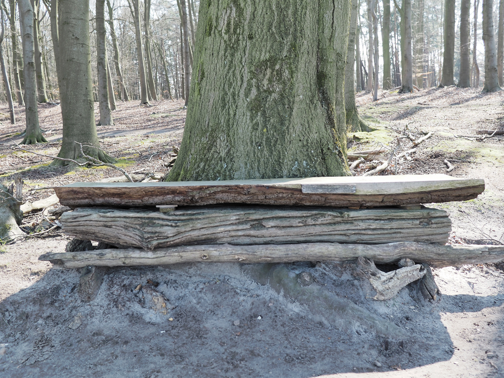 Buchenbank 2.jpg