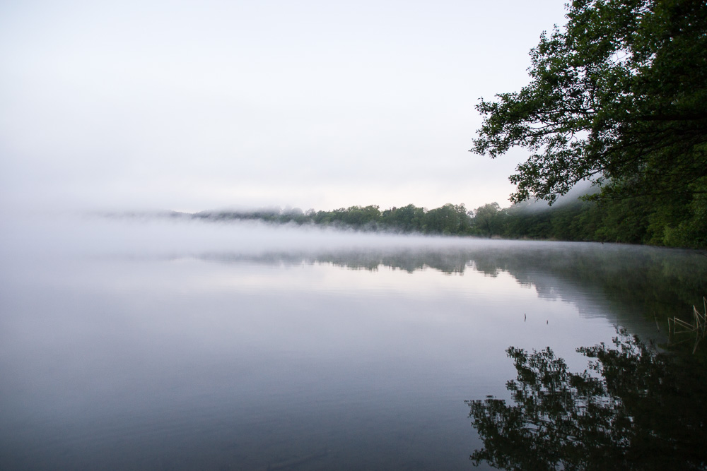 Bucht im Nebel