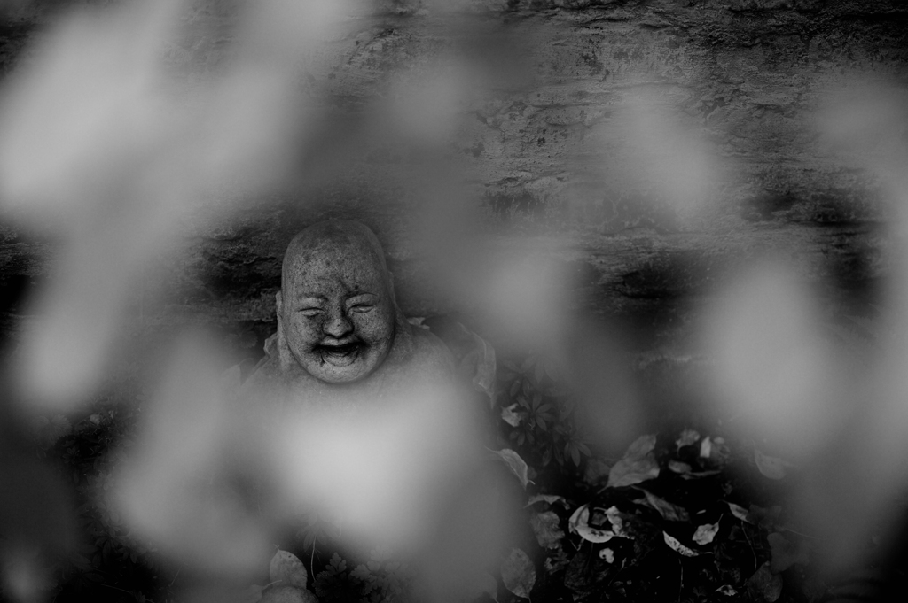 Buddha sw
