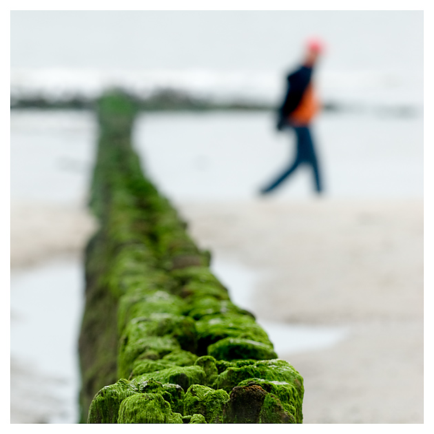 Buhne am Nordstrand auf Norderney
