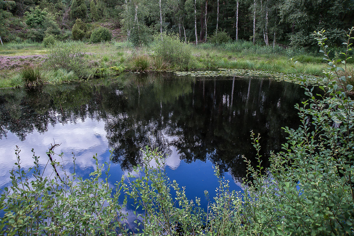 Bullenkuhle 5.jpg