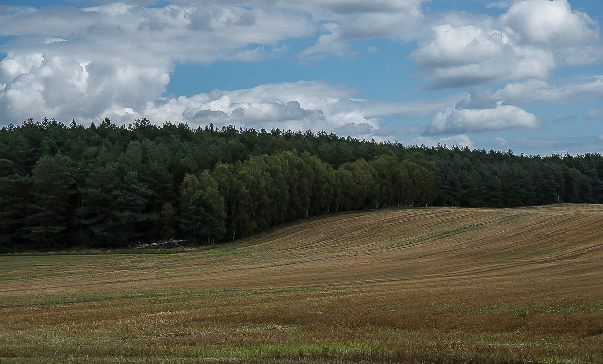 Bullenkuhle 7.jpg