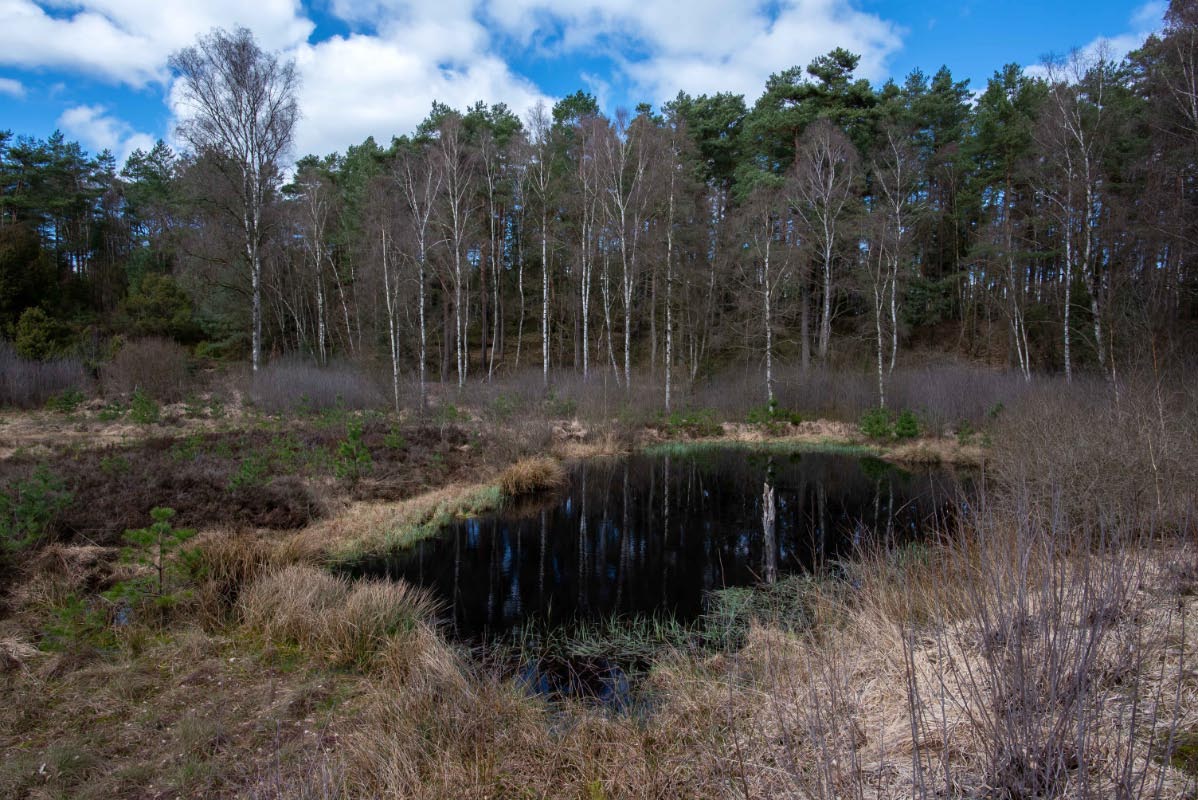 Bullenkuhle.jpg