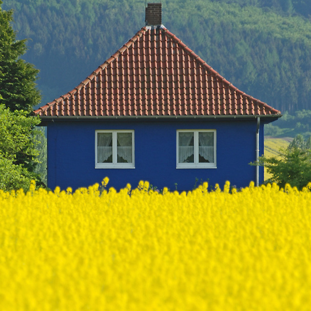 bunt haus raps