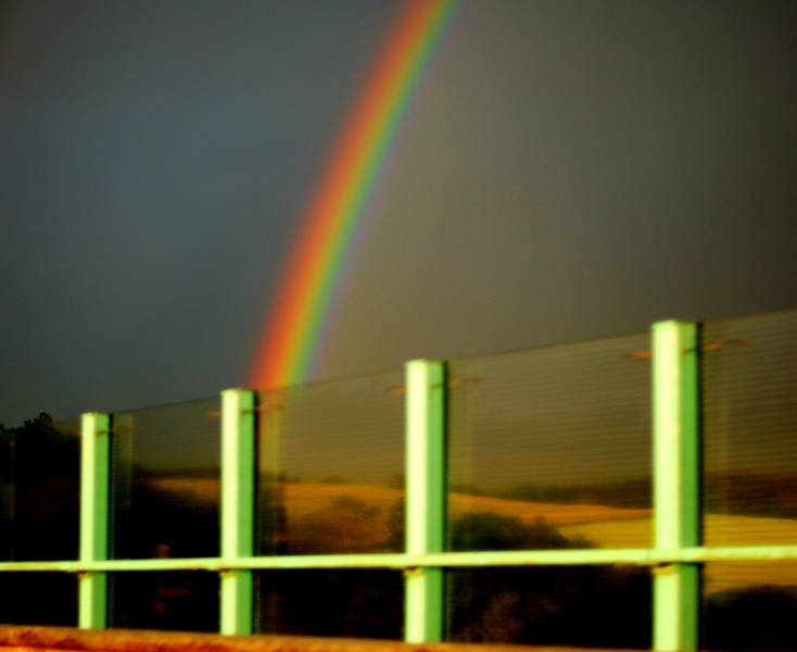 bunt