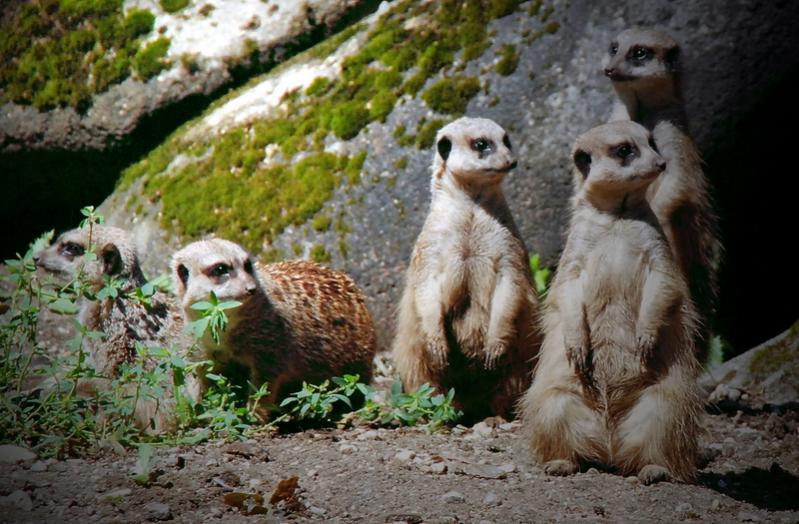 Burgers Zoo Arnhem