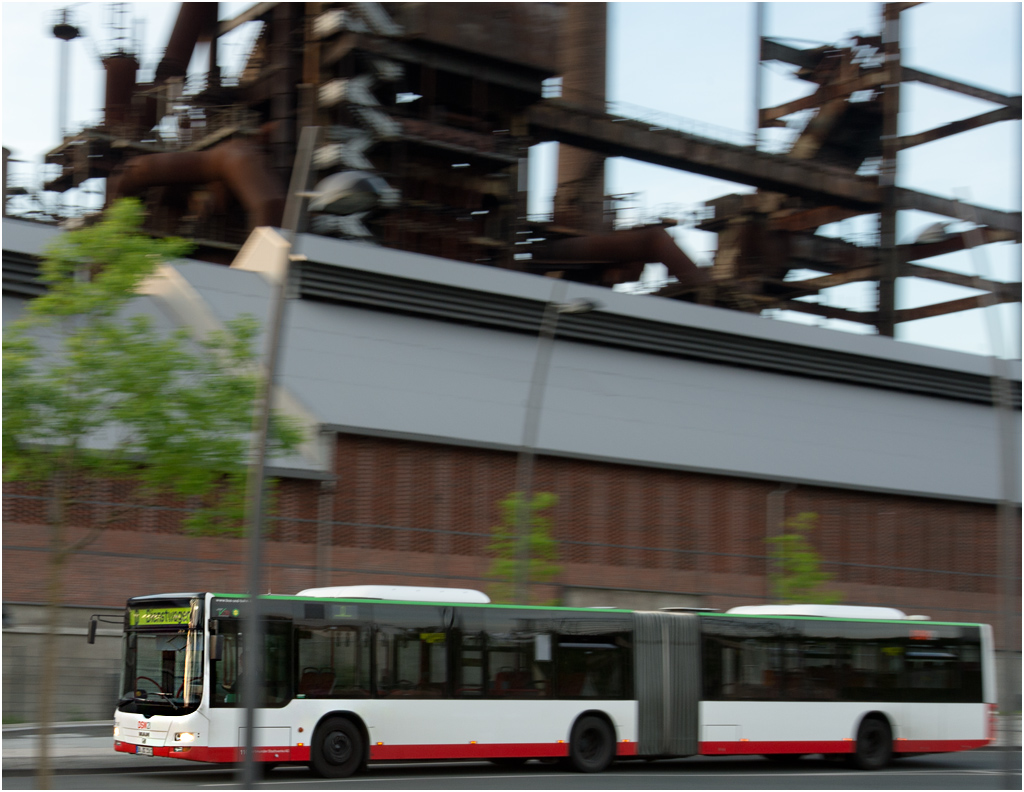 bus