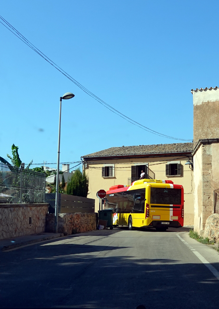 Bus2.jpg