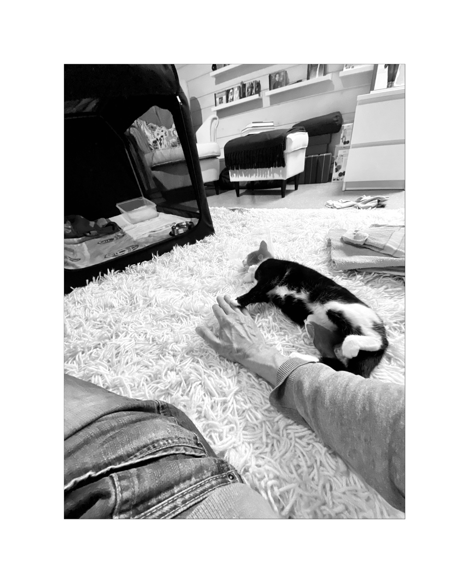 BusiIMG_4540.jpg