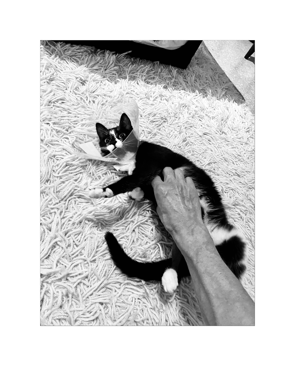 BusiIMG_4548.jpg