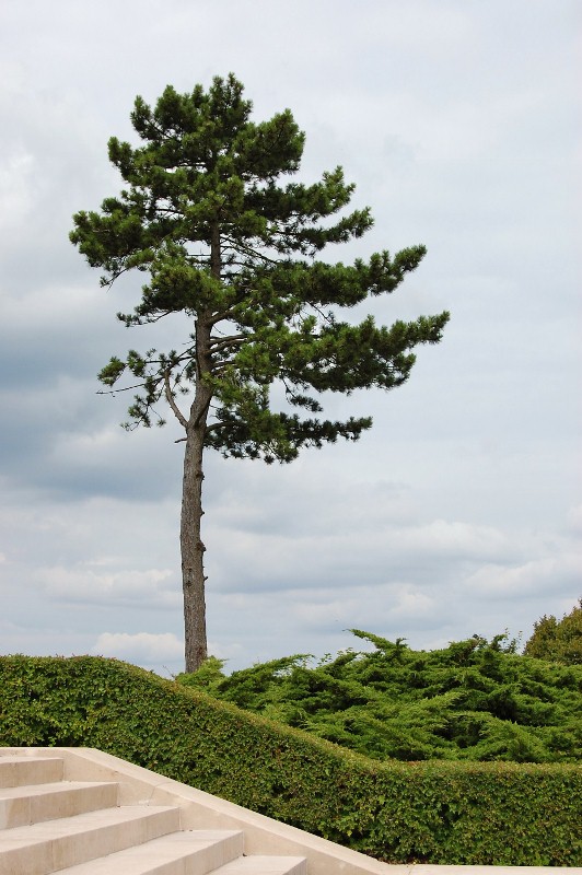 Butte de Montsec