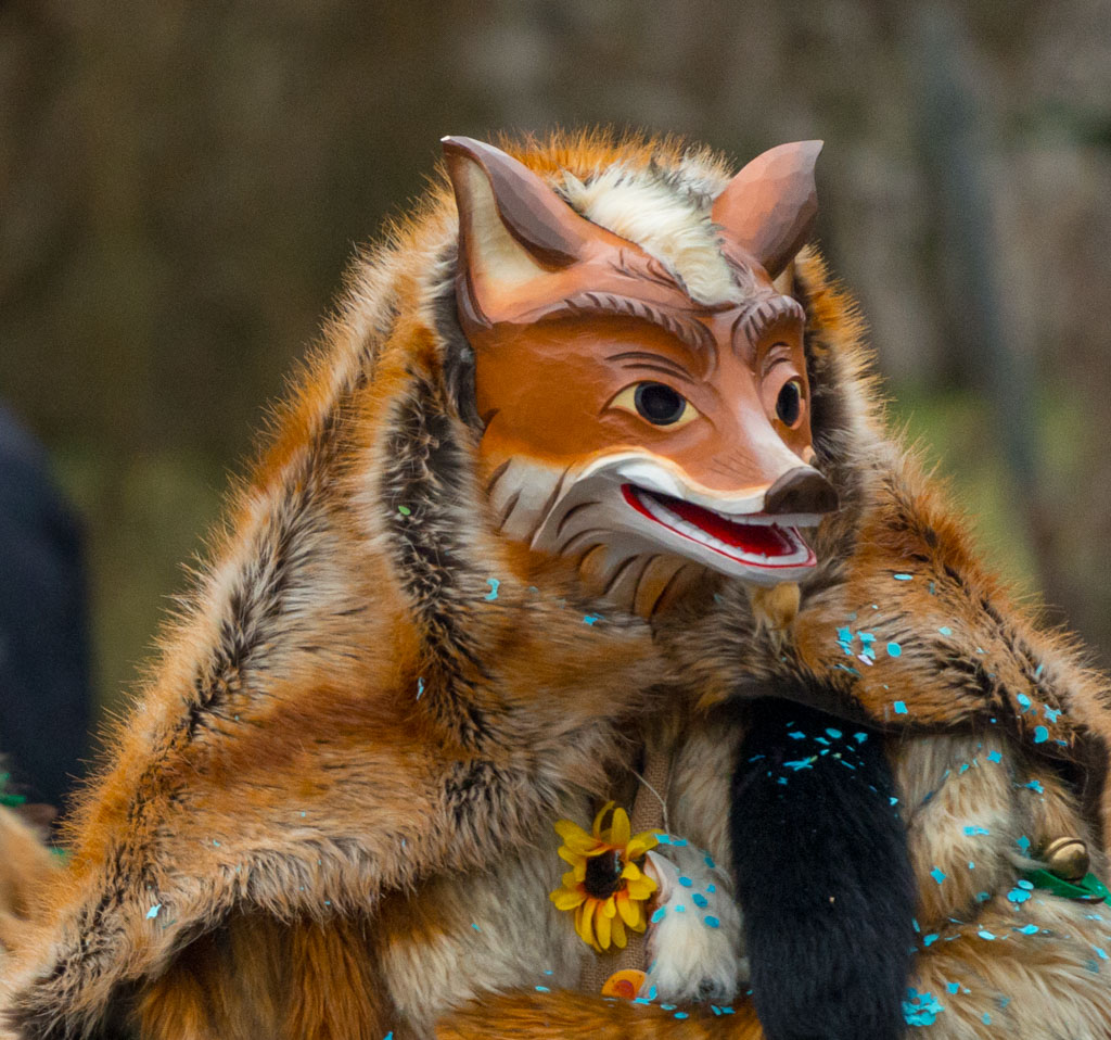 Buurefasend Hauingen 139422. Februar 2015

*sing* ... der Fuchs geht rum, der Fuchs geht rum....
