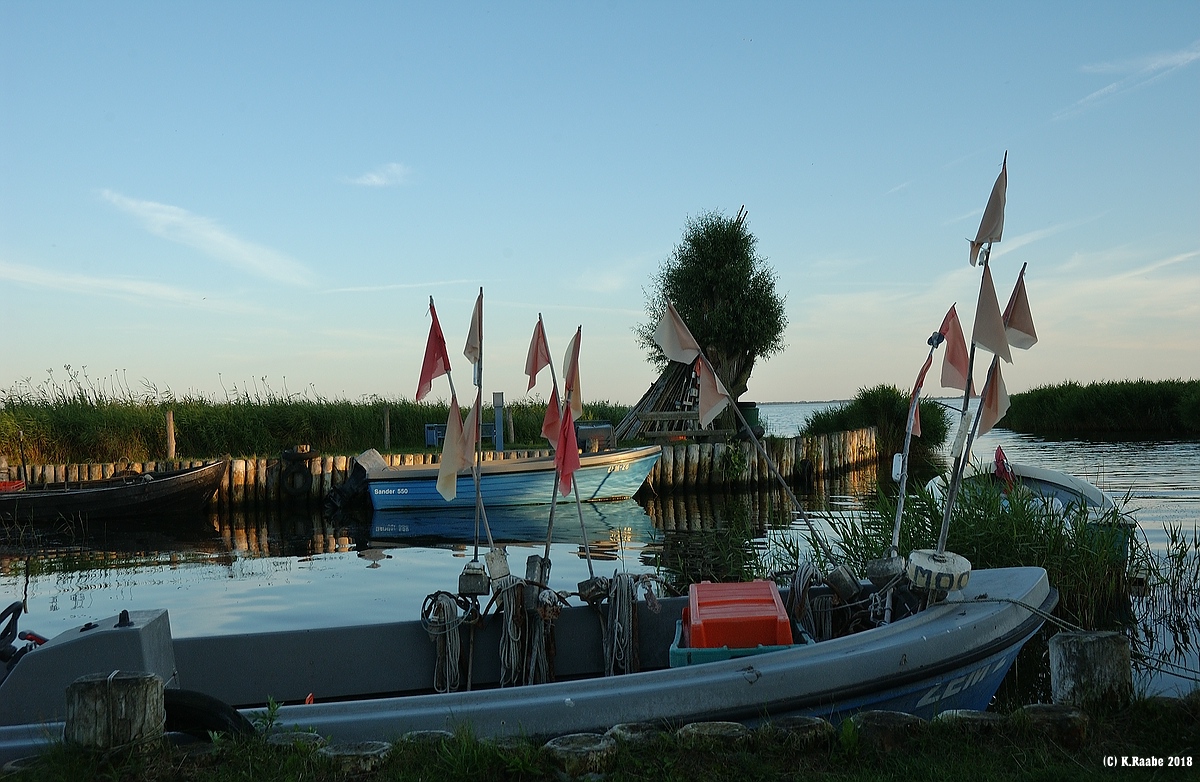 (c)K.R. 540DSC 1268