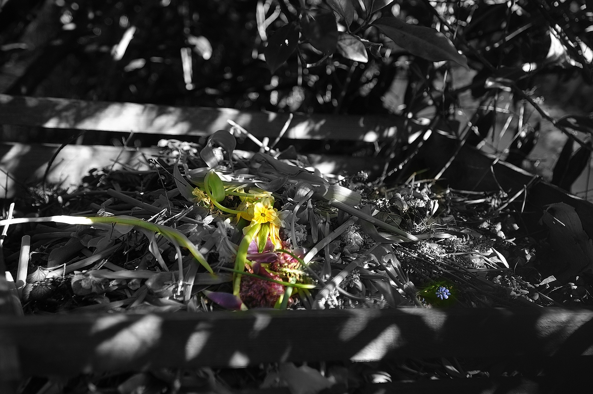 (C)K.R. DSC 1426 ck