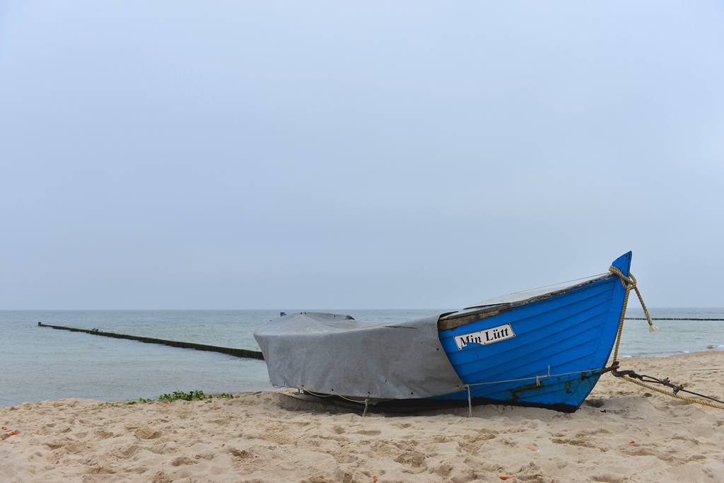 c1 DSC 3500 FS