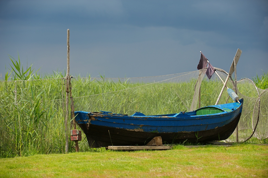 c1024 DSC 6929 n5