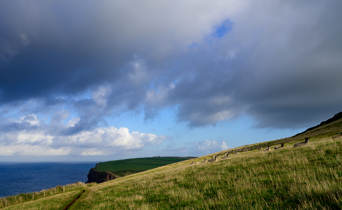 C2C_DSC_0723.jpg