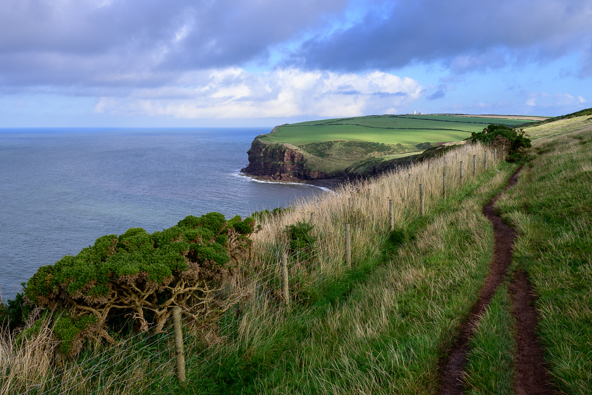 C2C_DSC_0726.jpg