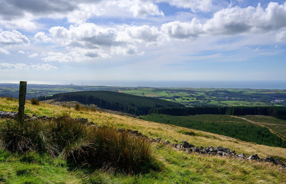 C2C_DSC_0770.jpg