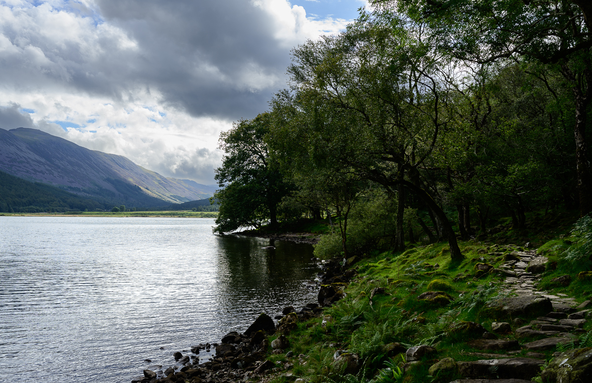 C2C_DSC_0813.jpg