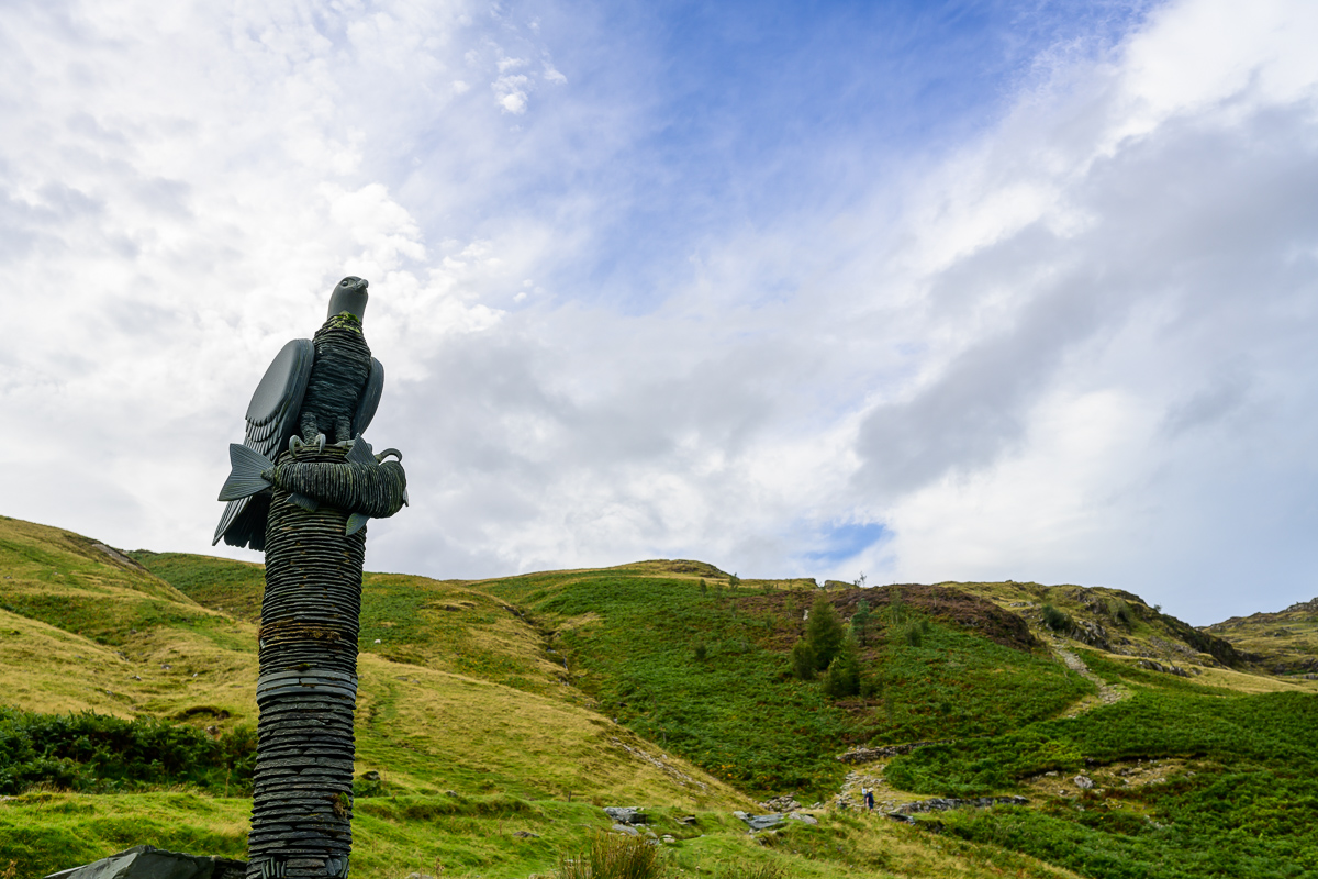 C2C_DSC_0831.jpg