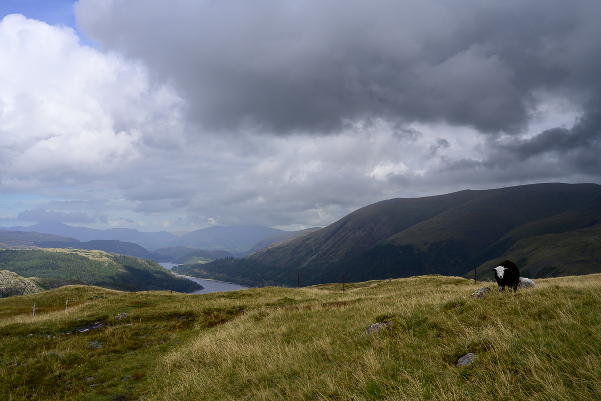C2C_DSC_0868.jpg