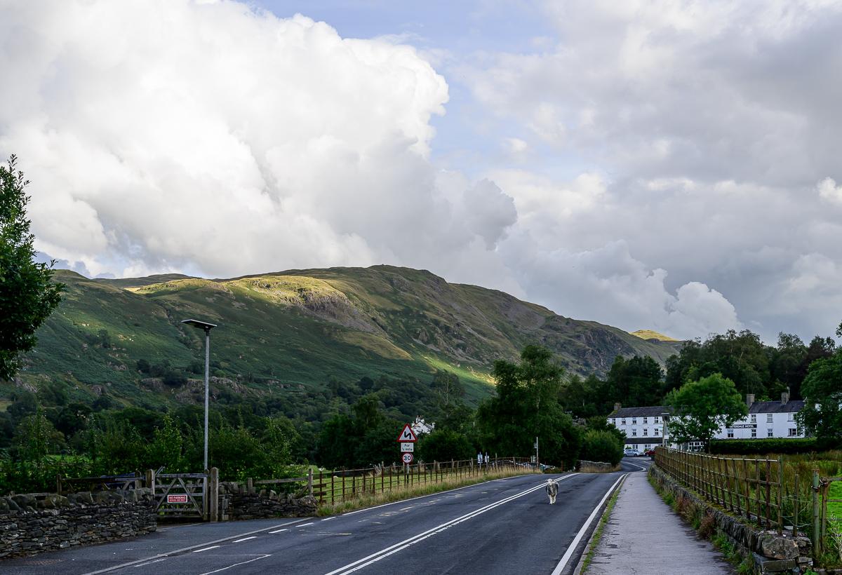 C2C_DSC_0877.jpg