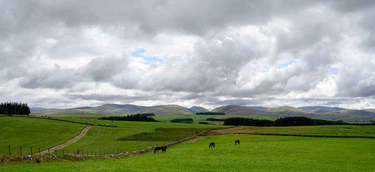 C2C_DSC_0911.jpg