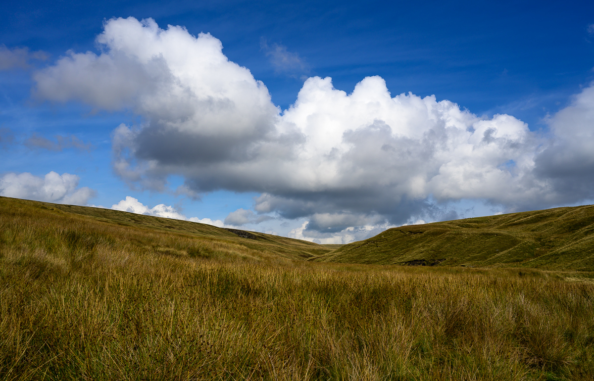 C2C_DSC_0989.jpg