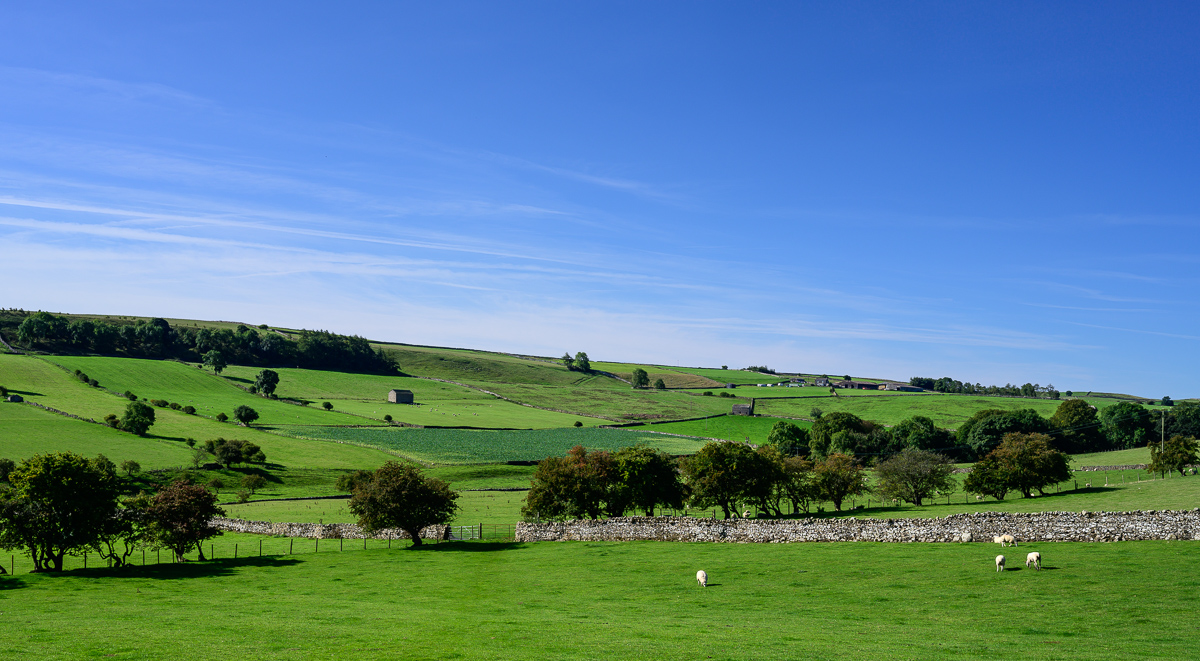 C2C_DSC_1079.jpg