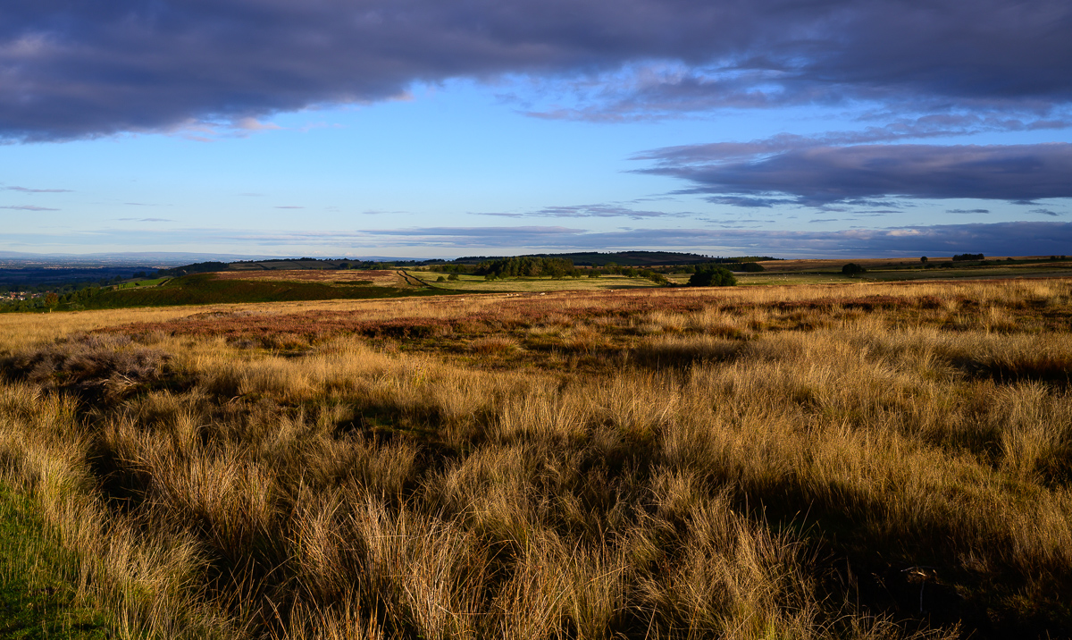 C2C_DSC_1186.jpg