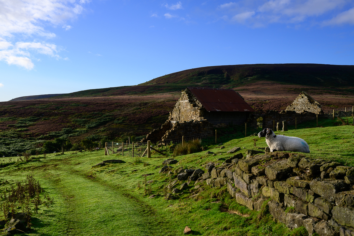C2C_DSC_1194.jpg