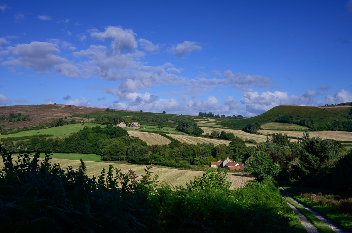 C2C_DSC_1224.jpg