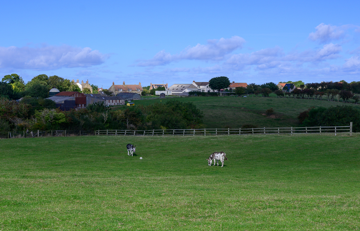 C2C_DSC_1361.jpg