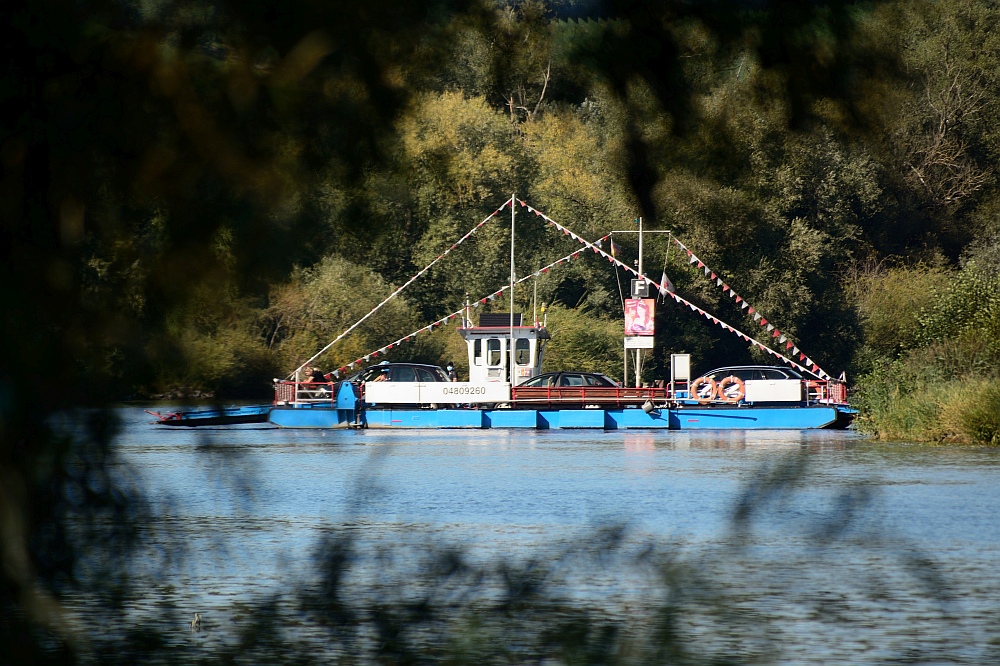C71_1832.jpg
