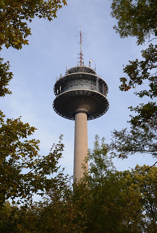 C71_2173.jpg