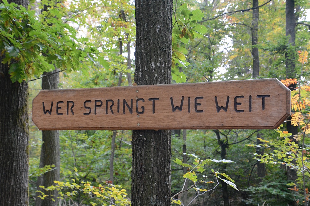 C71_2181.jpg