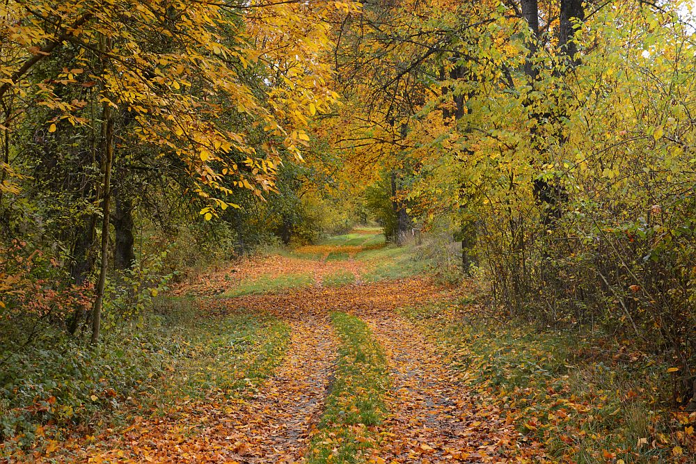 C71_2274.jpg