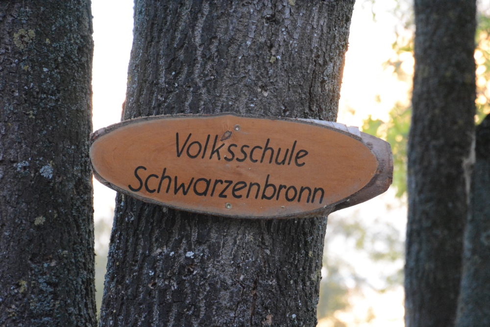 C71_2399.jpg