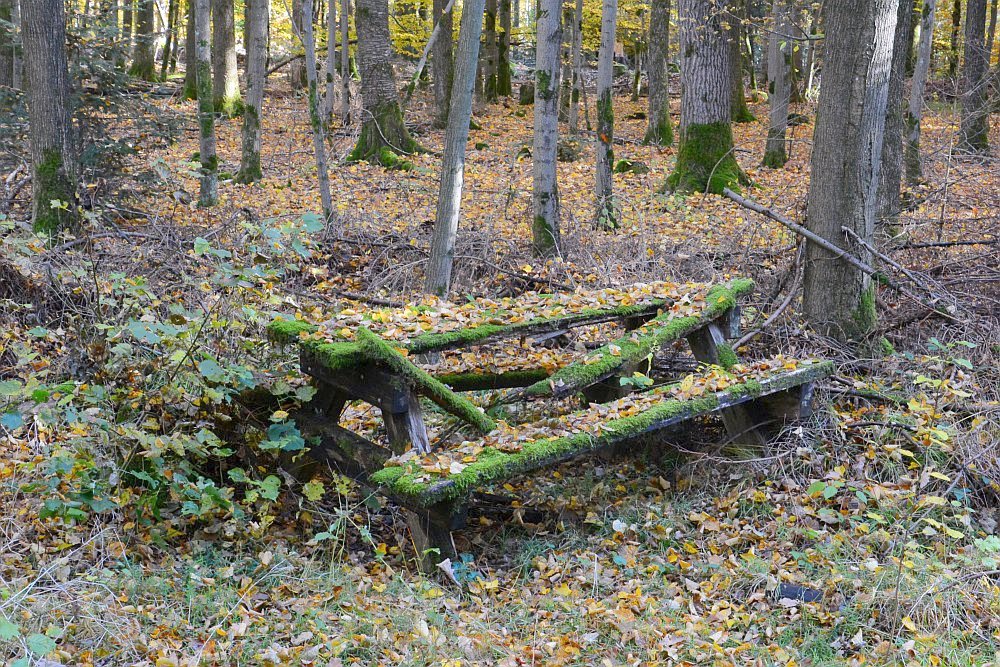 C71_2401.jpg