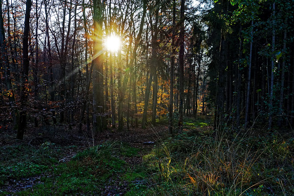 C71_2624.jpg