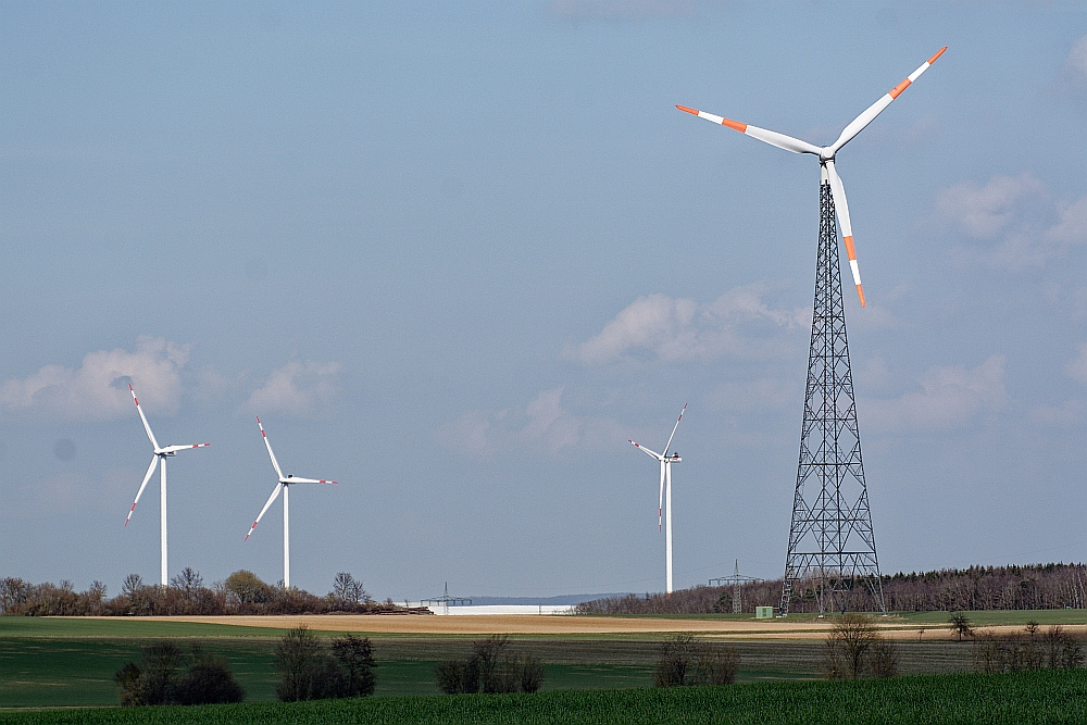 C71_2726.jpg