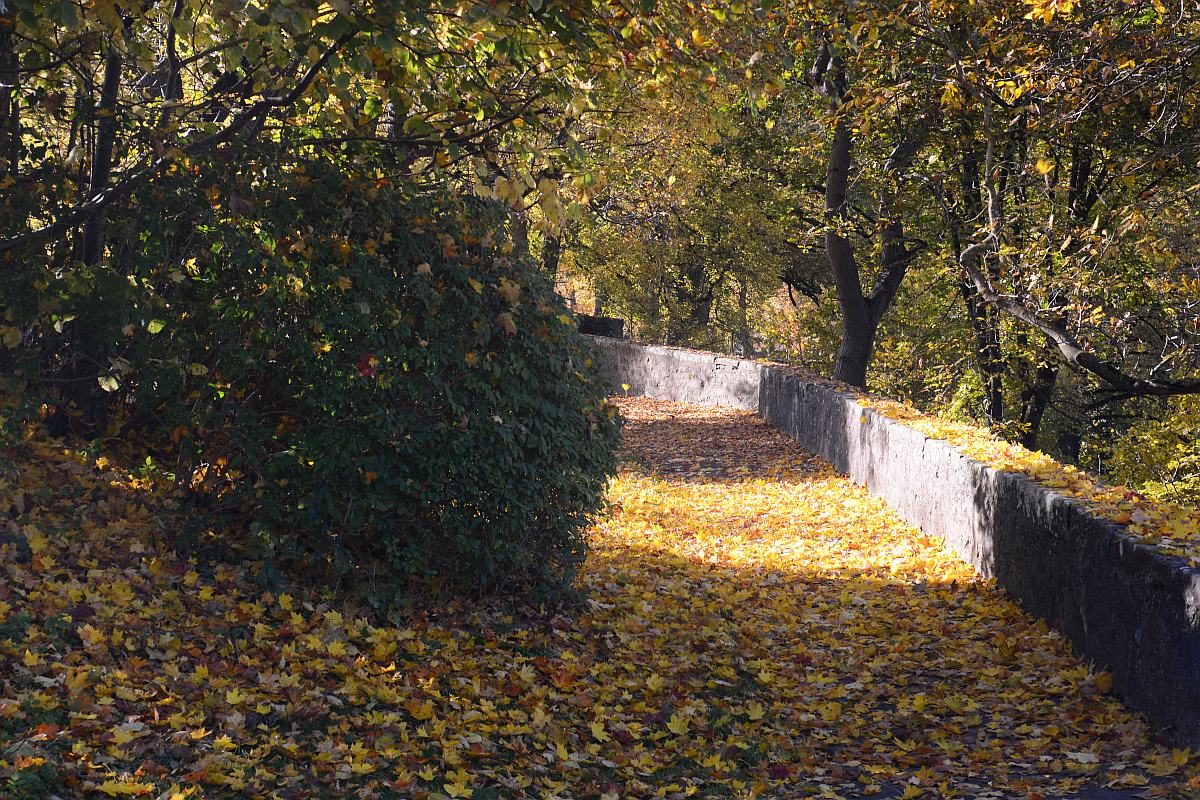 C71_2789.jpg