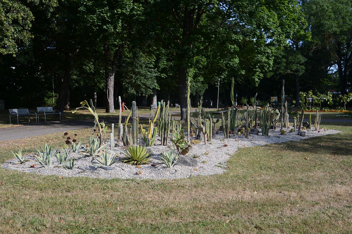 C71_2830.jpg