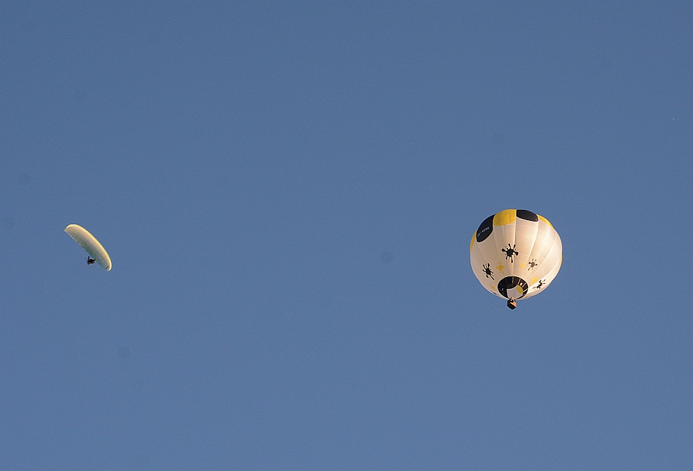 C71_2916.jpg