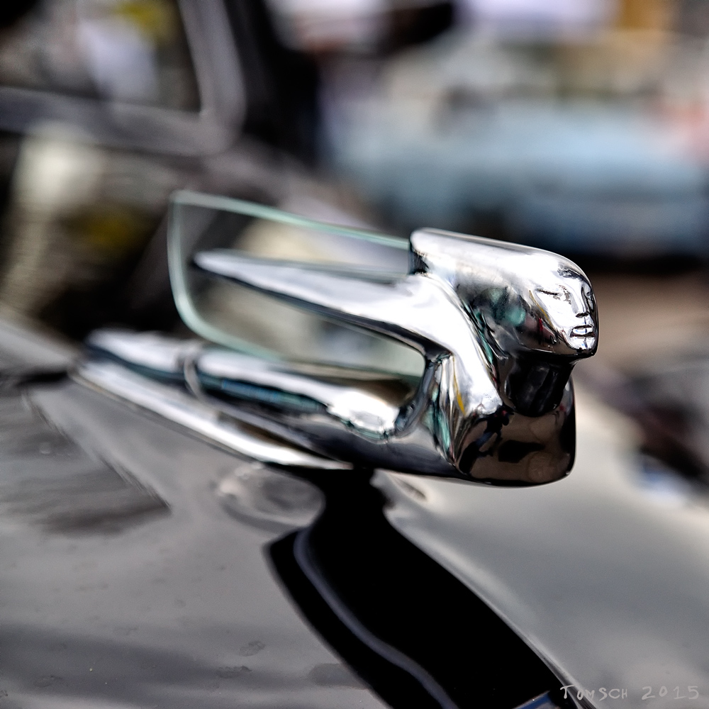 Cadillac [DSC_6678]a