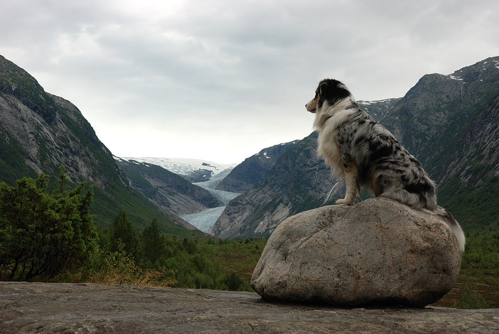 Callisto vor Gletscher