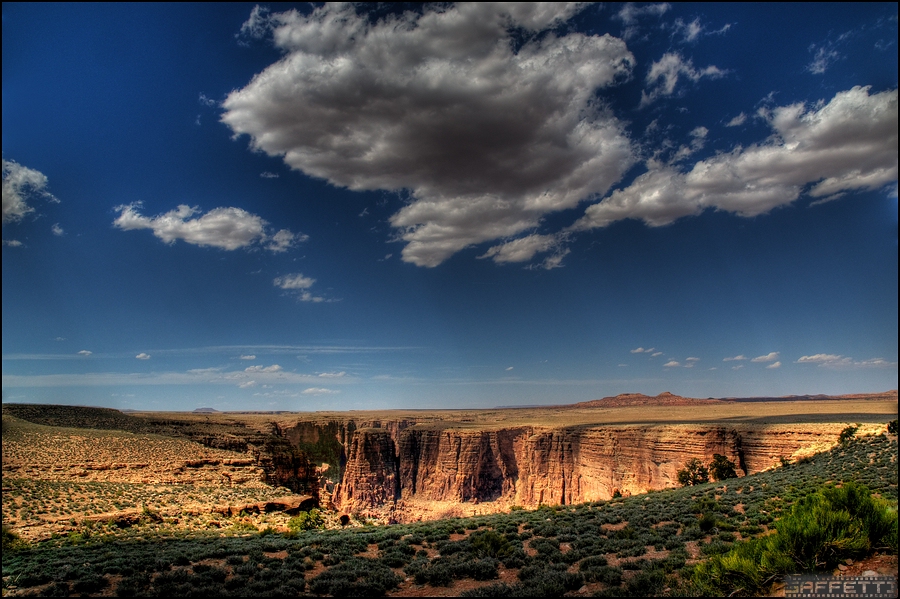 canyon forum